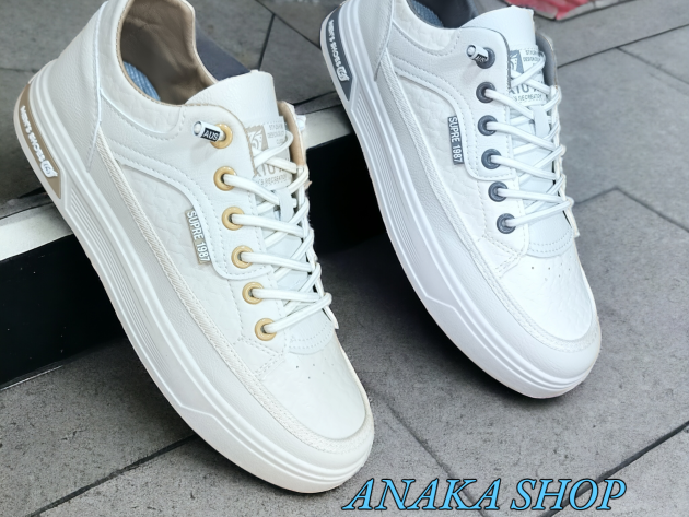 Basket Plat Fashion 2024