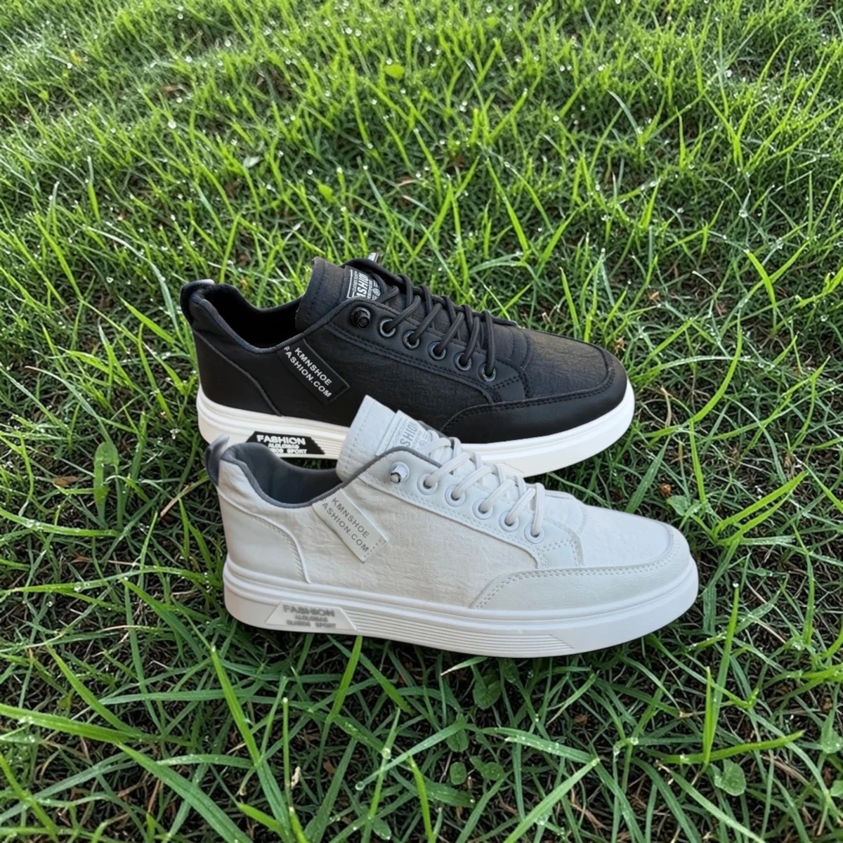 Basket plat Importation - الصورة 4